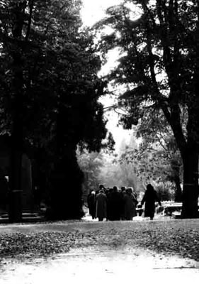 auf_der_anderen_seite_zentralfriedhof