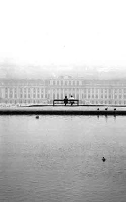 nebel_schloss schoenbrunn